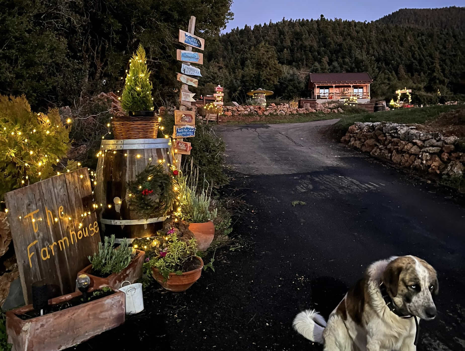 Farm House βυτινα