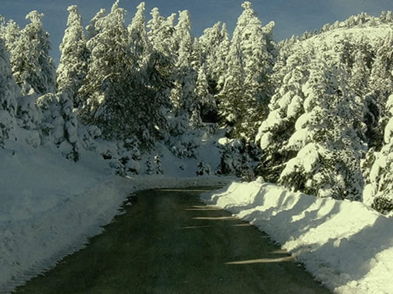ΧΙΟΝΙΣΜΕΝΟ ΜΑΙΝΑΛΟ 