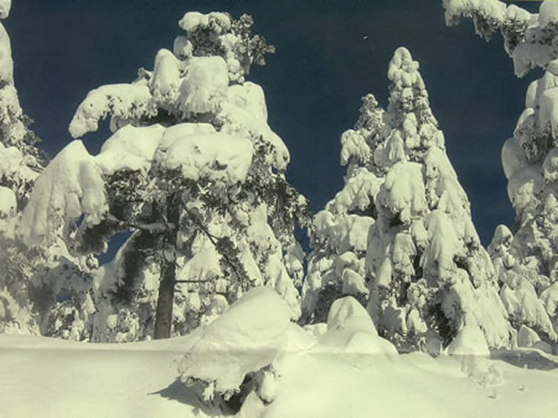 ΧΙΟΝΙΣΜΕΝΟ ΜΑΙΝΑΛΟ 