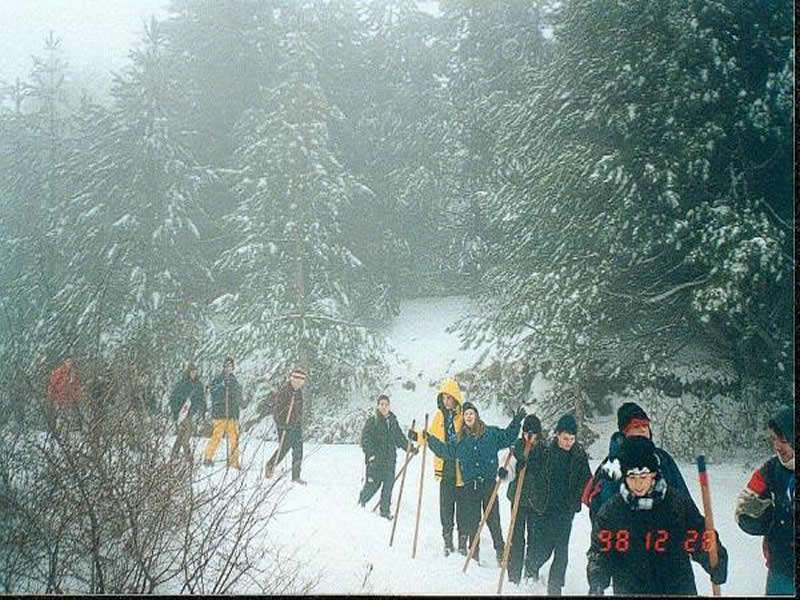 ΧΙΟΝΙΣΜΕΝΟ ΜΑΙΝΑΛΟ 